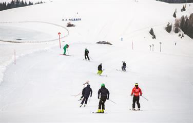 Image for: POMERIDIANO